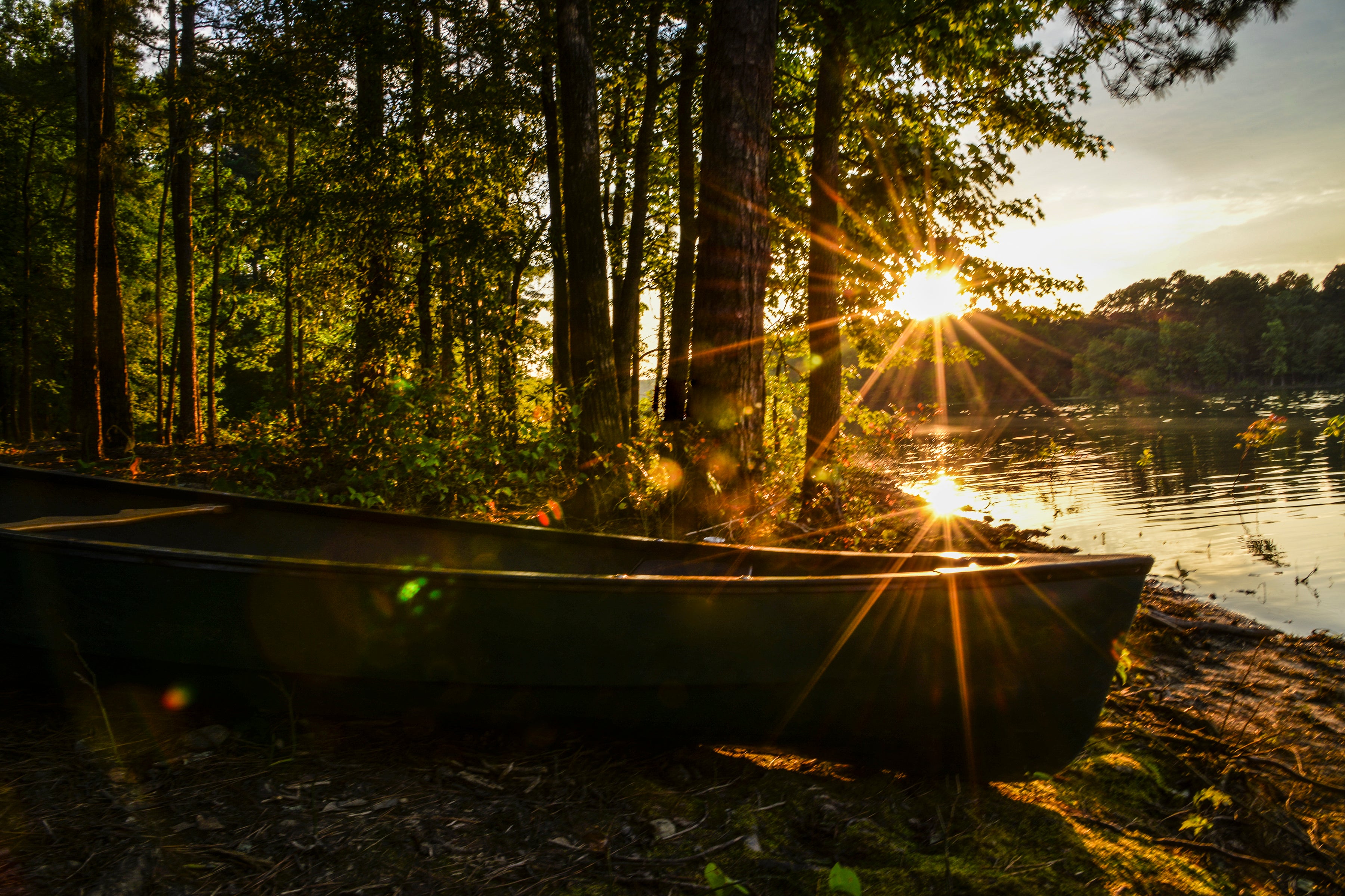 Sunset peaking through the trees at DeGray Lake